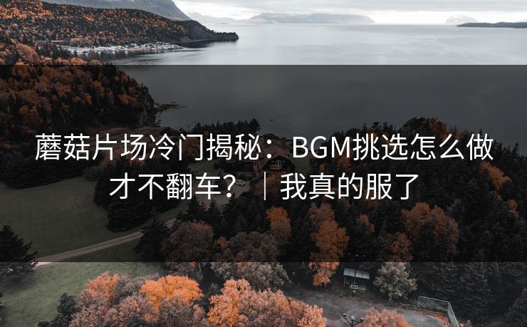 蘑菇片场冷门揭秘：BGM挑选怎么做才不翻车？｜我真的服了